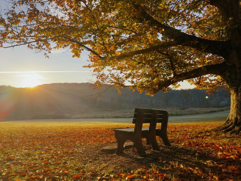 Mindful Breaks You Can Take in Five Minutes for a Clearer Mind